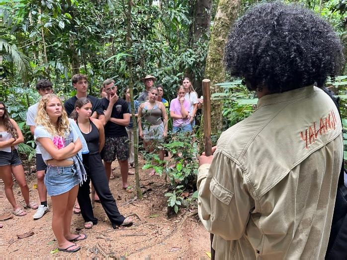 A guided walk with young people in rainforest