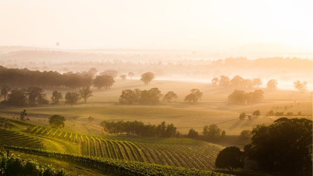 Grazing country in the northern tablelands