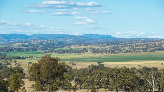 Farmland on the New England tablelands